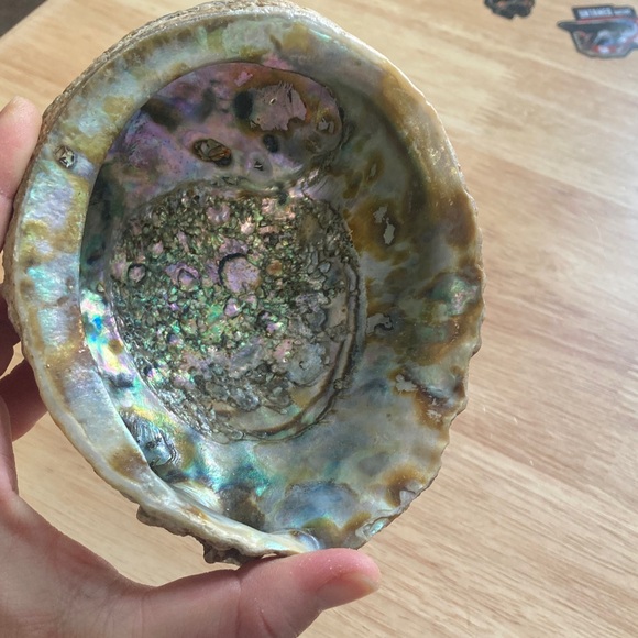 Elegant Iridescent Shell Art - Picture 13 of 14